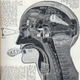 Illustration for article titled Your Body, the Machine... Literally